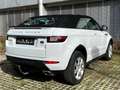 Land Rover Range Rover Evoque Cabriolet/Leder/AHK Blanc - thumbnail 9