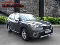 Subaru Forester Forester Hybrid 2.0ie Lineartronic Active Grey - thumbnail 8