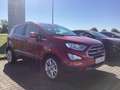 Ford EcoSport Titanium, GJR, Navi, RFK, WinterP. TWA Rot - thumbnail 2