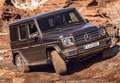 Mercedes-Benz G 350 350BlueTec Largo Aut. Blanco - thumbnail 17