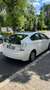 Toyota Prius Executive Weiß - thumbnail 1