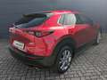 Mazda CX-30 2.0l (150PS) Selektion Bose 360° Kamera Matrix-LED Rot - thumbnail 6