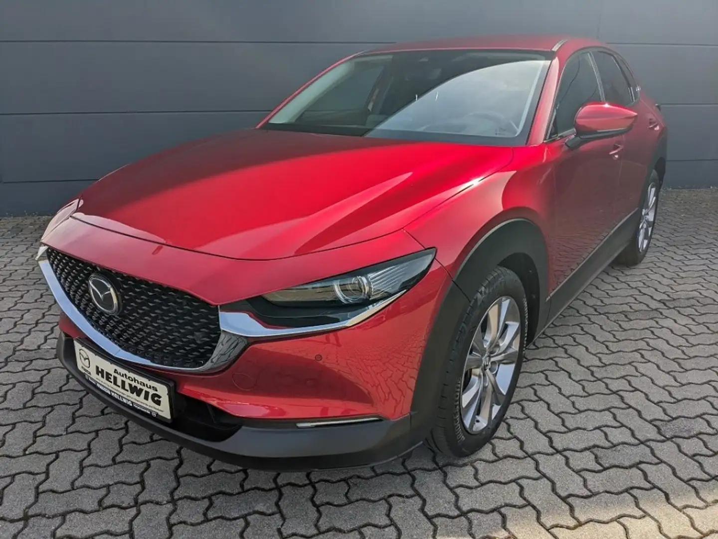 Mazda CX-30 2.0l (150PS) Selektion Bose 360° Kamera Matrix-LED Rot - 2