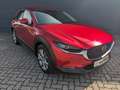 Mazda CX-30 2.0l (150PS) Selektion Bose 360° Kamera Matrix-LED Rot - thumbnail 3
