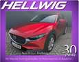 Mazda CX-30 2.0l (150PS) Selektion Bose 360° Kamera Matrix-LED Rot - thumbnail 1