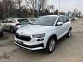 Skoda Karoq Karoq 2.0 TDI SCR 115 CV Executive Bianco - thumbnail 1