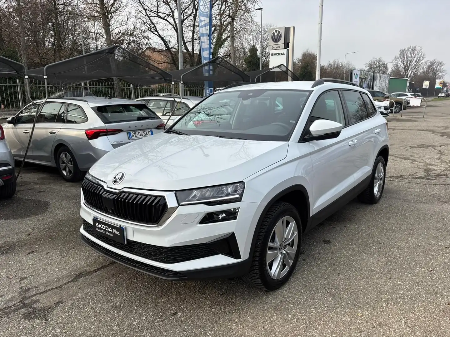 Skoda Karoq Karoq 2.0 TDI SCR 115 CV Executive Bianco - 1
