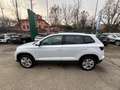 Skoda Karoq Karoq 2.0 TDI SCR 115 CV Executive Bianco - thumbnail 8
