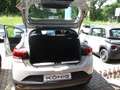 Dacia Sandero Stepway Expression+ TCe 100 ECO-G Grau - thumbnail 19