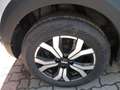 Dacia Sandero Stepway Expression+ TCe 100 ECO-G Grau - thumbnail 4