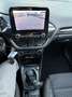 Ford Puma Puma  1.0 ecoboost hybrid 125 cv Titanium Blu/Azzurro - thumbnail 12