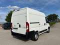 Peugeot Boxer 330 L1H2 2.2 BLUEHDI 120CV SeS Bianco - thumbnail 4