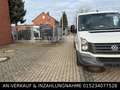 Volkswagen Crafter Kasten 30 mittel L2H1 Weiß - thumbnail 9