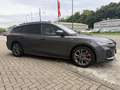 Ford Focus Focus ST  LINE Grijs - thumbnail 6