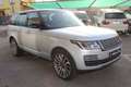 Land Rover Range Rover 5.0 Supercharged Vogue, TETTO APRIBILE, HEAD UP DI Grigio - thumbnail 3