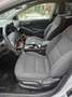 Hyundai IONIQ Ioniq Elektro 38kWh Level 5 Aut. Level 5 Weiß - thumbnail 5