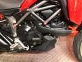 Ducati Multistrada 950 . Rojo - thumbnail 5