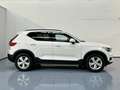Volvo XC40 T2 Momentum Aut. Weiß - thumbnail 2