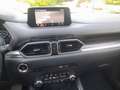 Mazda CX-5 CX-5 CD150 AWD Revolution Aut. Revolution/AHK Rot - thumbnail 12