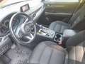 Mazda CX-5 CX-5 CD150 AWD Revolution Aut. Revolution/AHK Rot - thumbnail 9