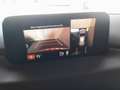 Mazda CX-5 CX-5 CD150 AWD Revolution Aut. Revolution/AHK Rot - thumbnail 16
