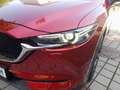 Mazda CX-5 CX-5 CD150 AWD Revolution Aut. Revolution/AHK Rot - thumbnail 3