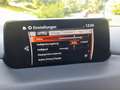 Mazda CX-5 CX-5 CD150 AWD Revolution Aut. Revolution/AHK Rot - thumbnail 15