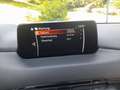 Mazda CX-5 CX-5 CD150 AWD Revolution Aut. Revolution/AHK Rot - thumbnail 13