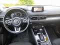Mazda CX-5 CX-5 CD150 AWD Revolution Aut. Revolution/AHK Rot - thumbnail 10