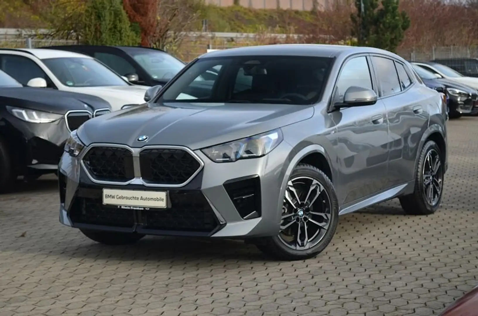 BMW X2 sDrive20i M Sport LiveCptProf.Iconic Glow.360 Grau - 2