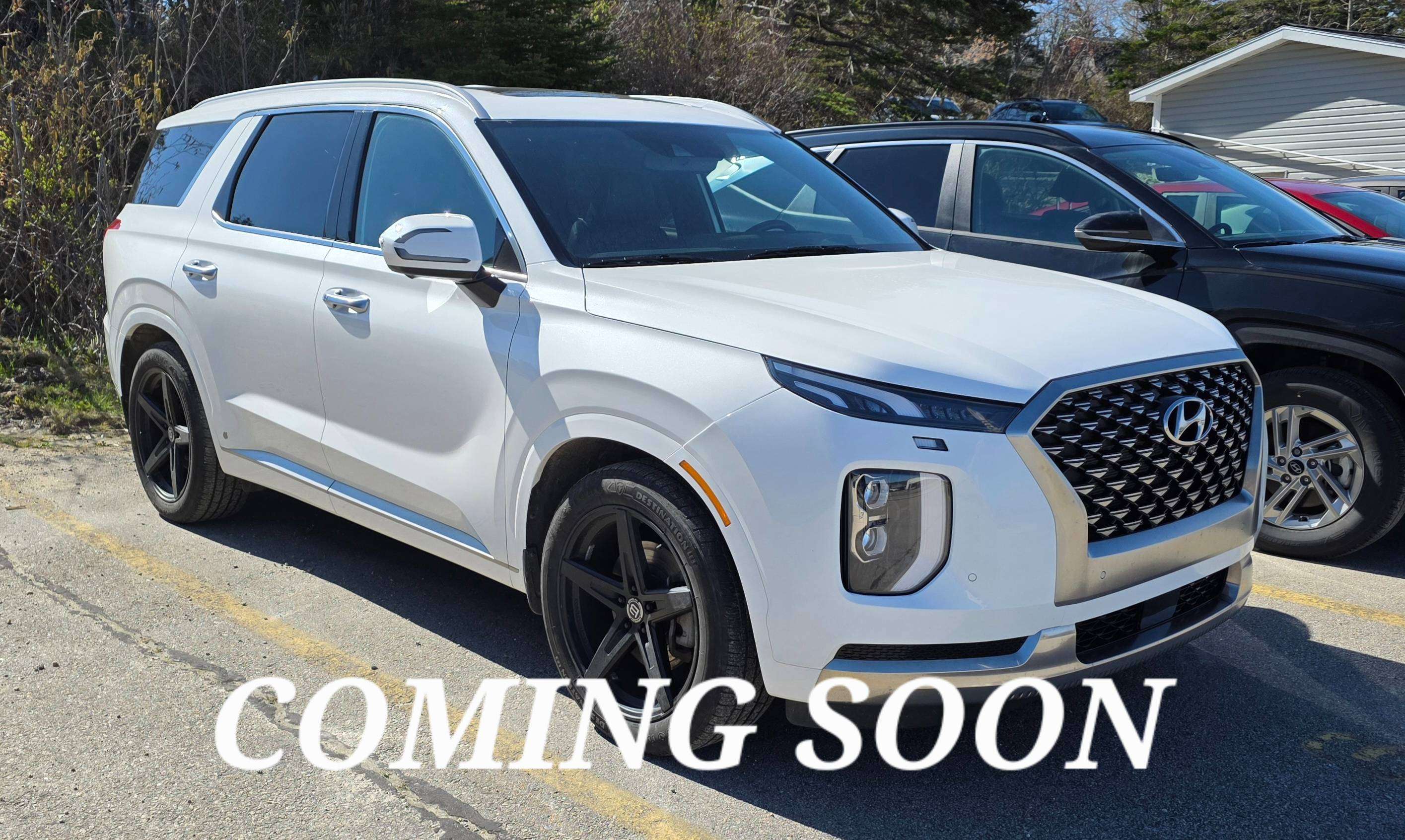2022 Hyundai Palisade Ultimate Calligraphy AWD