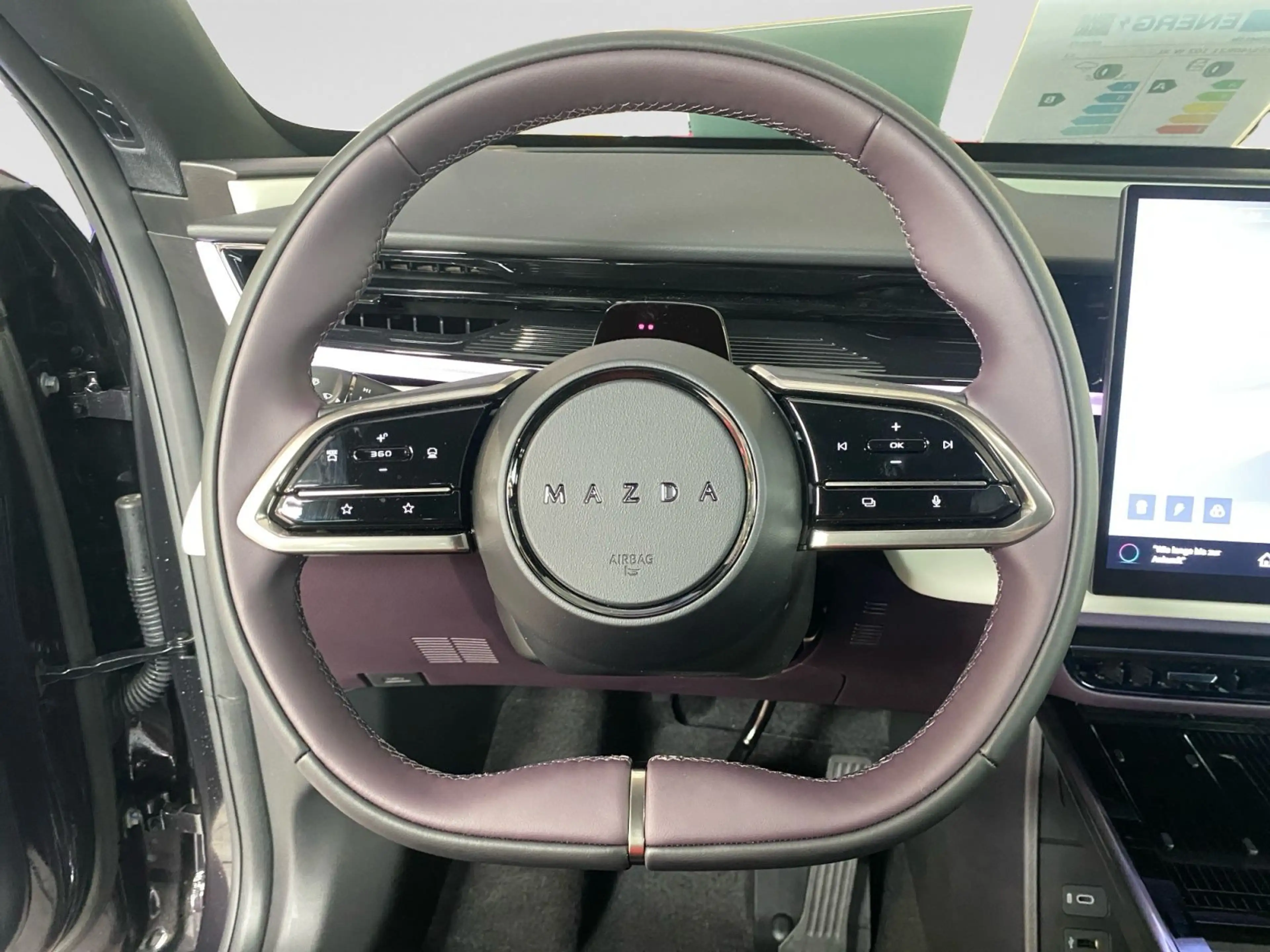 Mazda CX-6e 258PS EV Takumi Plus — photo 14