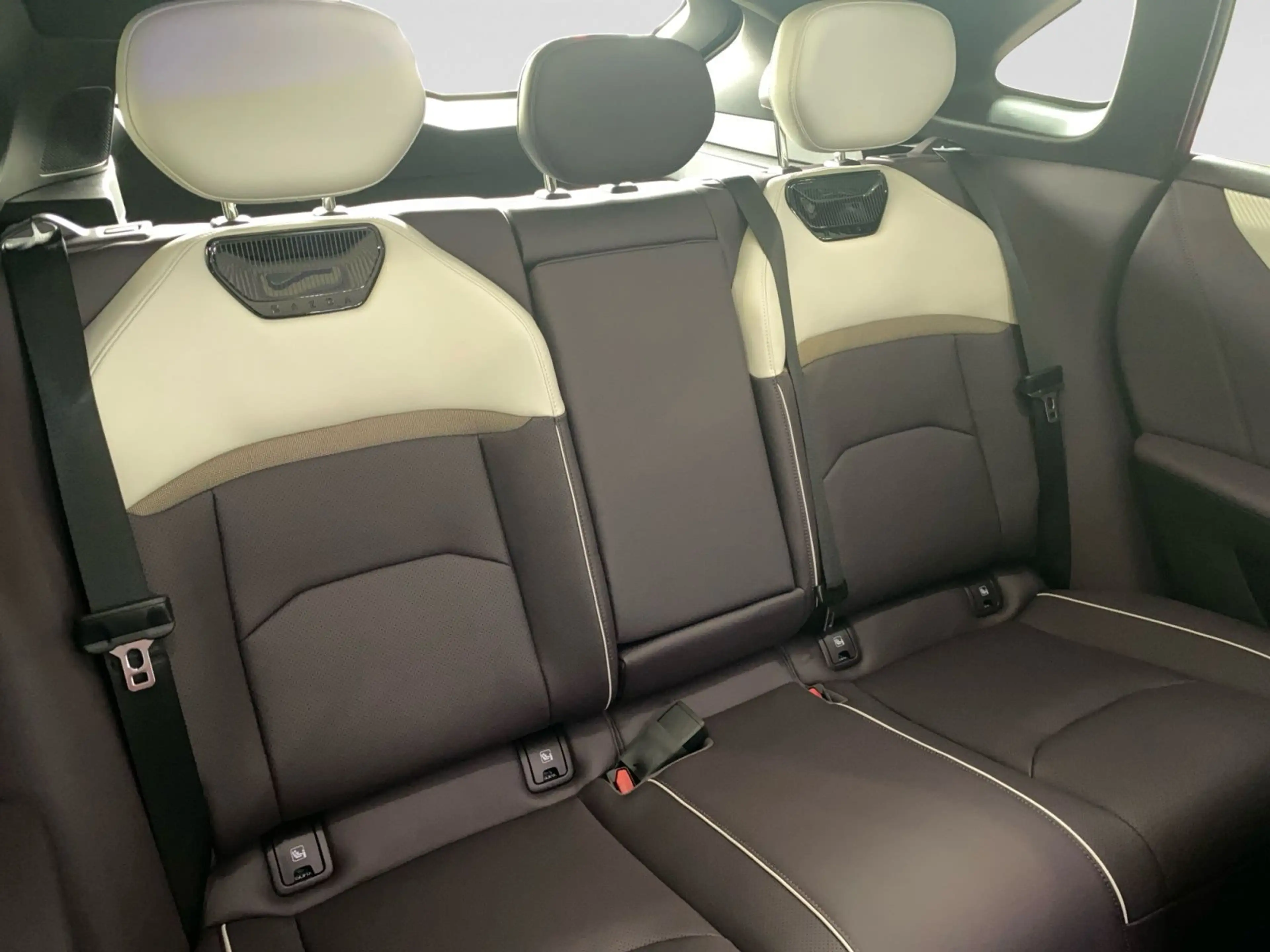 Mazda CX-6e 258PS EV Takumi Plus — photo 23