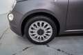Fiat 500 1.0 Hybrid Cult 52kW Gris - thumbnail 11