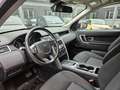 Land Rover Discovery Sport 2.0 TD4 150 CV Auto Bianco - thumbnail 7
