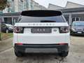 Land Rover Discovery Sport 2.0 TD4 150 CV Auto Bianco - thumbnail 5