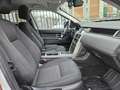Land Rover Discovery Sport 2.0 TD4 150 CV Auto Bianco - thumbnail 10