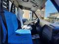 Iveco Daily 35C13 - CASSONE FISSO Weiß - thumbnail 5