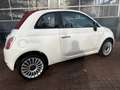 Fiat 500C 1.2 Pop bj 2010 Apk 02-2026 Nwe distrie-riem goed Wit - thumbnail 2