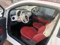 Fiat 500C 1.2 Pop bj 2010 Apk 02-2026 Nwe distrie-riem goed Wit - thumbnail 22