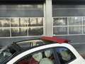 Fiat 500C 1.2 Pop bj 2010 Apk 02-2026 Nwe distrie-riem goed Wit - thumbnail 10