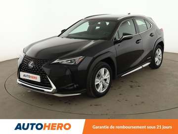 250h Pack Confort Business 2WD