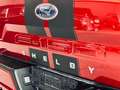 Ford F 150 Shelby Super Charged Off Road Mwst. ausw. Rot - thumbnail 21