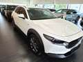 Mazda CX-30 X180 AWD 100 Years Aut. Weiß - thumbnail 2