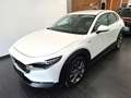 Mazda CX-30 X180 AWD 100 Years Aut. Weiß - thumbnail 1