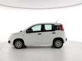 Fiat Panda Panda 1.2 Easy s&s 69cv (Br) Bianco - thumbnail 7