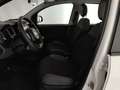Fiat Panda Panda 1.2 Easy s&s 69cv (Br) Bianco - thumbnail 12