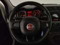 Fiat Panda Panda 1.2 Easy s&s 69cv (Br) Bianco - thumbnail 14