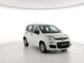 Fiat Panda Panda 1.2 Easy s&s 69cv (Br) Bianco - thumbnail 3