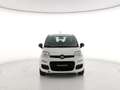Fiat Panda Panda 1.2 Easy s&s 69cv (Br) Bianco - thumbnail 2